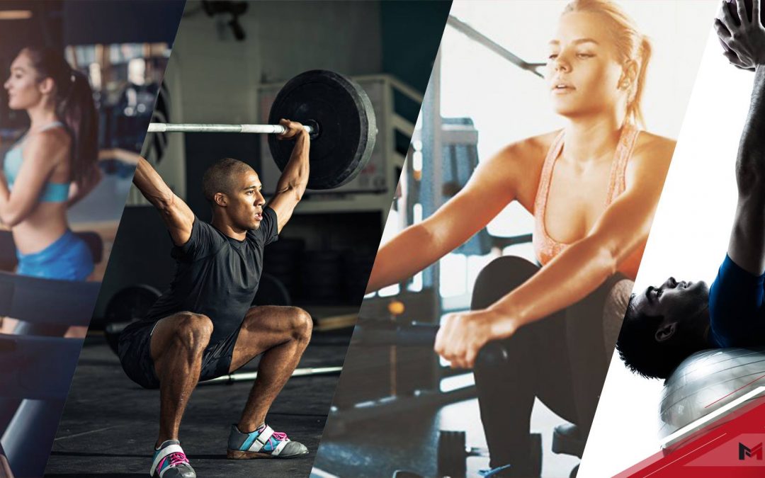 อุปกรณ์และเครื่องออกกำลังกายแบบไหนที่ถูกใจลูกค้ามากที่สุด​ ?